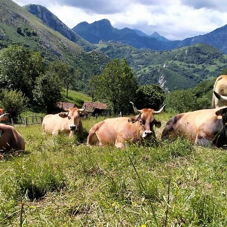 Casa La Fragua 15 Min De Cangas De Onis Ngoại thất bức ảnh